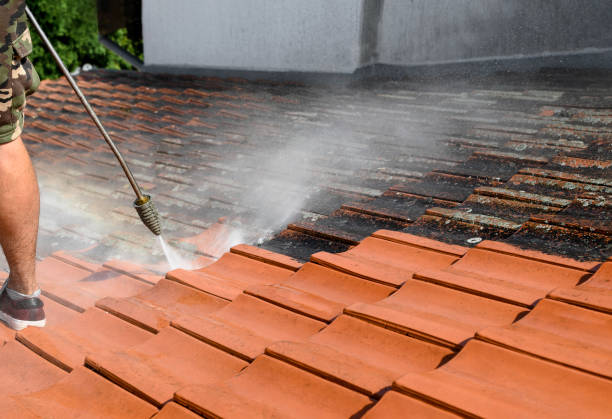 Best Power Washing Near Me  in Hull, IA