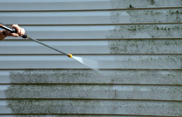 Best House Pressure Washing  in Hull, IA