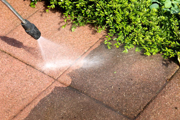 Best Best Pressure Washing Companies  in Hull, IA